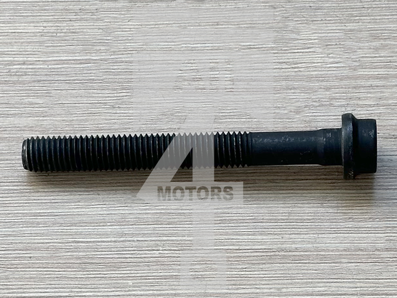 Cylinder head bolt EHB2501