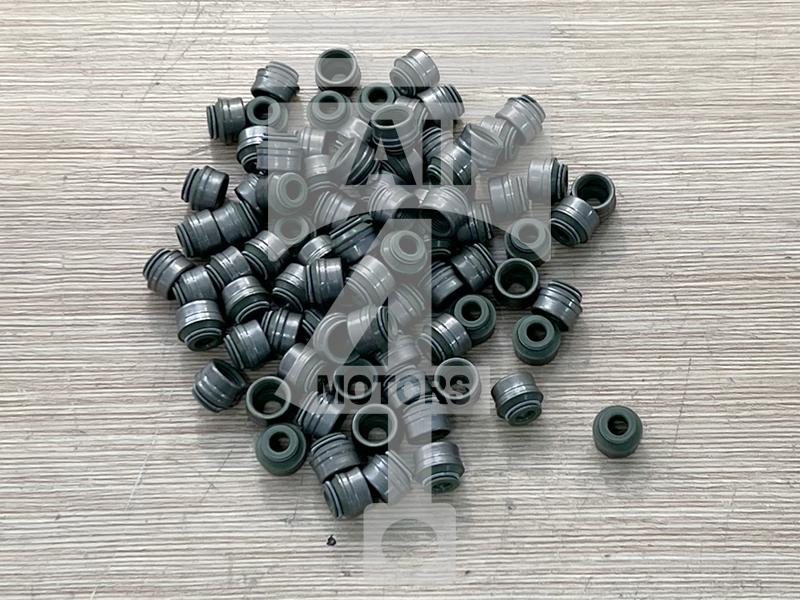 Valve seal EVS0117 for gasoline engine 2.8L M52B28 / 286S2 for BMW / Mini