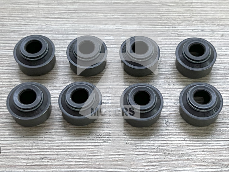Valve seal EVS0501 for gasoline engine 1.6L A16LES / LDW for Opel